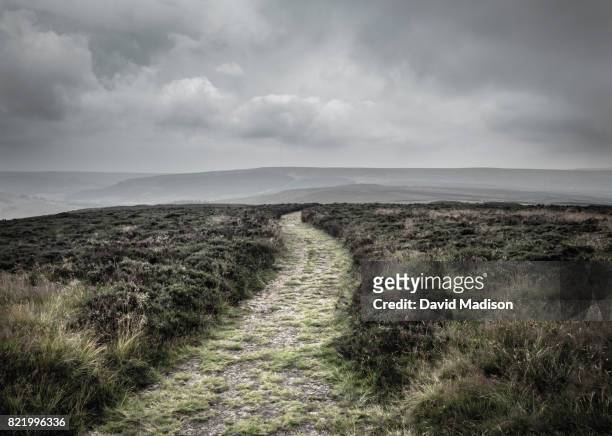 path in the north york moors national park - overcast stock pictures, royalty-free photos & images