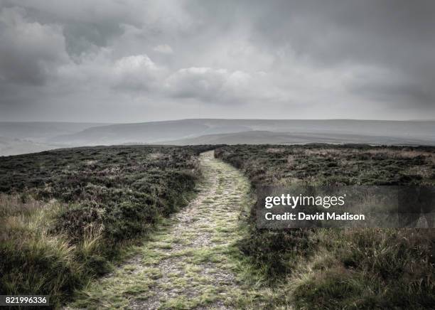 path in the north york moors national park - cloudy sky bildbanksfoton och bilder