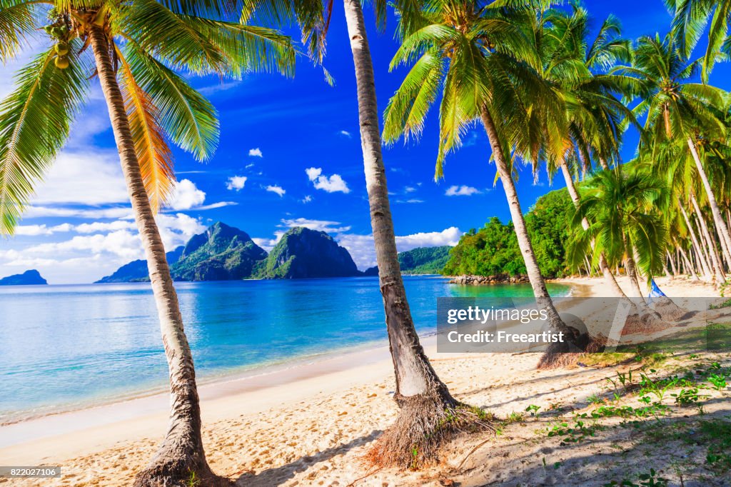 Relaxing tropical scenery with beautiful palm beach