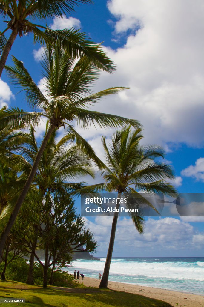 La Réunion, La Grande Anse