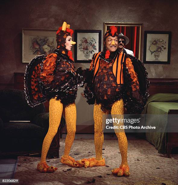 American singer and actress Cher and American comedian and actor Redd Foxx appear costumed as fowl in a skit on the television variety show 'The...