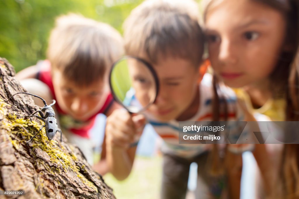 Pequeños exploradores por naturaleza