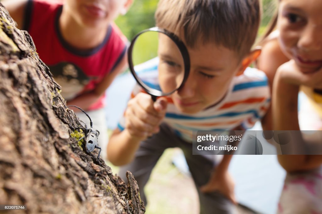 Pequenos exploradores da natureza