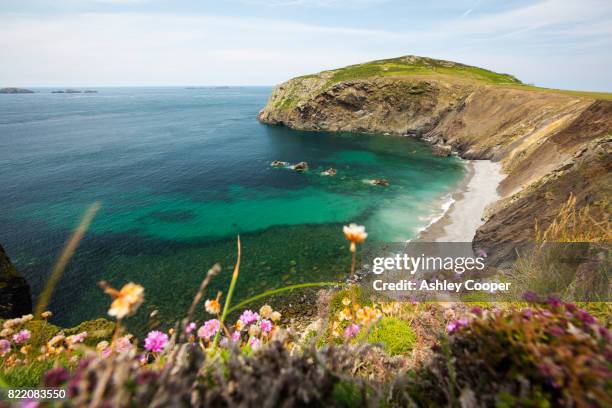 looking towards the ovens on ramsey island, pembrokeshire, wales, uk. - pembroke stock pictures, royalty-free photos & images