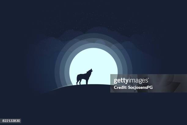 ilustrações de stock, clip art, desenhos animados e ícones de full moon and lonely wolf - wolf moon