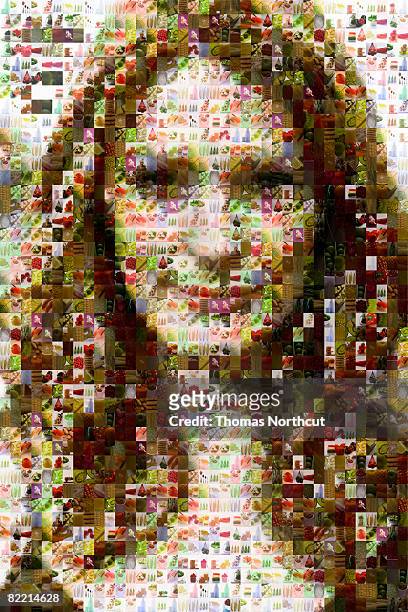 female portrait made of healthy food - mosaic stockfoto's en -beelden