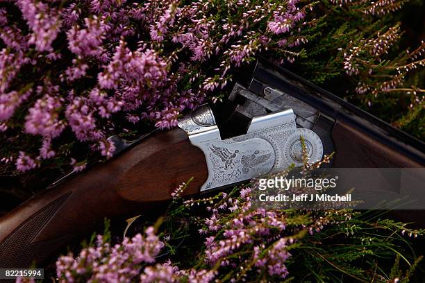 Shotgun is placed in the heather on the Railia and Milton Estate on Drumochter moor, on August 8, 2008 near Dalwhinnie in Scotland. As the glorious...
