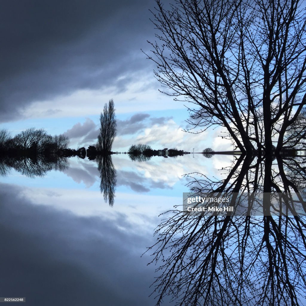 Kaleidoscopic Image of Winter Tree branches