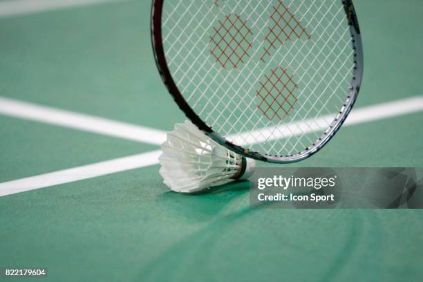 Volant badminton - - Demi finale - Internationaux de France de babminton,