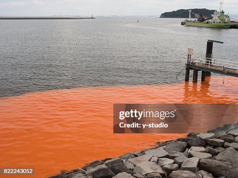 Red Tide Background Red Tide High-Res Stock Photo - Getty Images