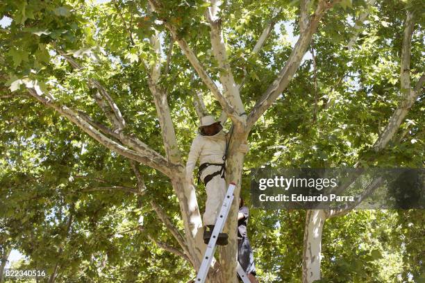 Actor Roberto Alamo attends the 'Alegria, tristeza, miedo, rabia' shooting set at Templo de Debod park on July 25, 2017 in Madrid, Spain.