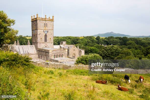 st davids cathedral in st davids, pembrokeshire, wales, uk. - st davids stock pictures, royalty-free photos & images