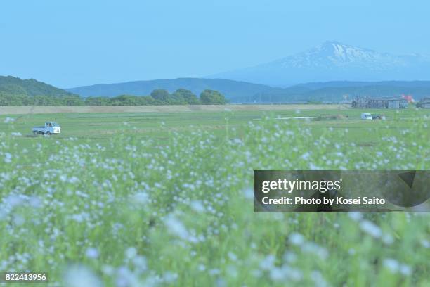 rural landscape of akita japan - 秋田県 ストックフォトと画像