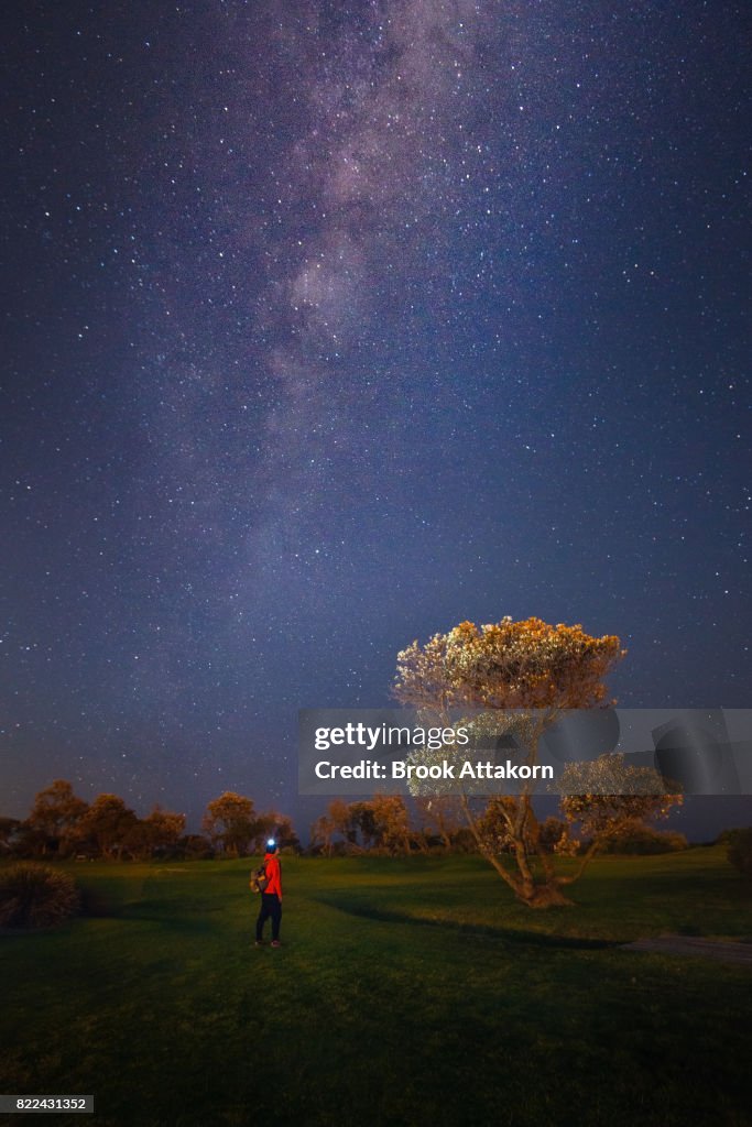 Landscape with Milky Way.