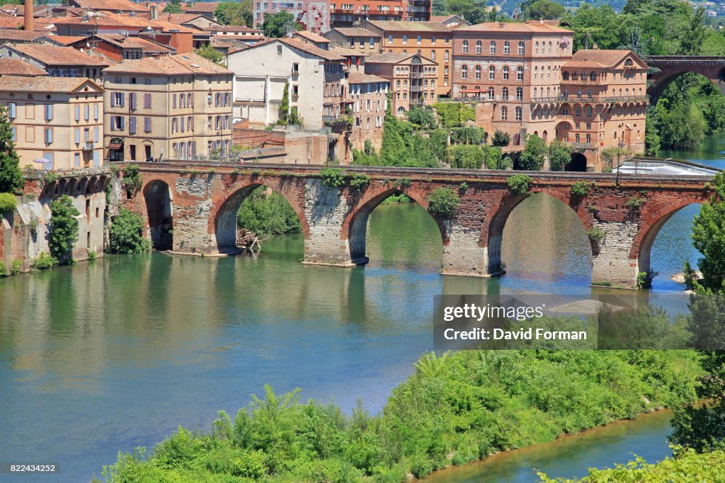 View of Pont Vieux and the River Tarn from the gardens of the Palais de Berbie in Albi, France.