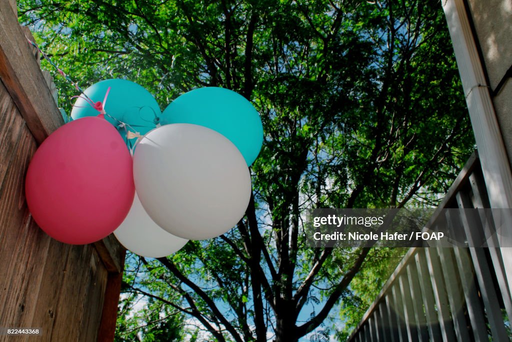 Low angle view of balloons