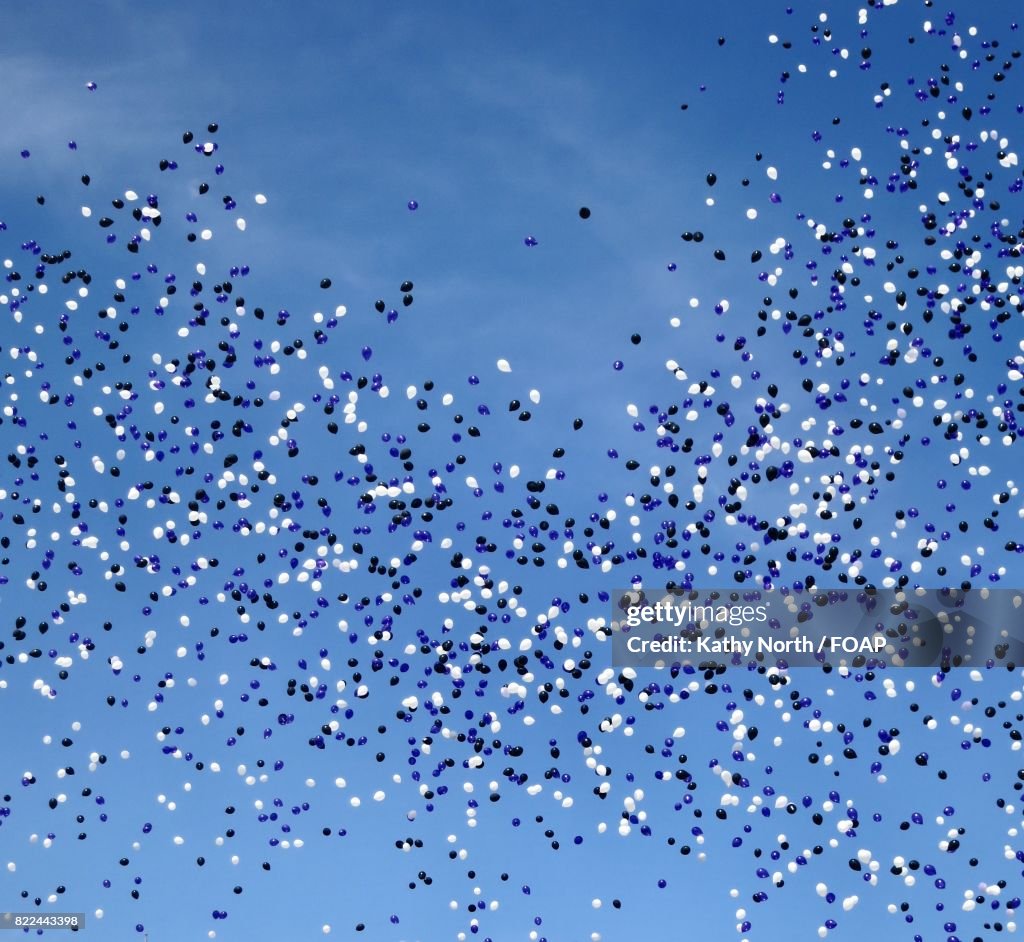 Varieties of balloons flying in the sky