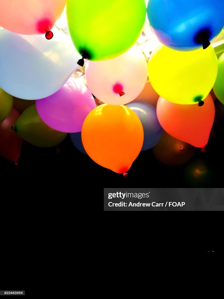 Close-up of balloons