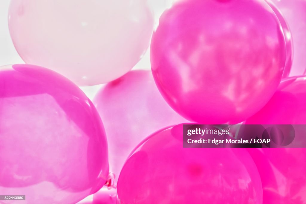 Full frame of pink balloons