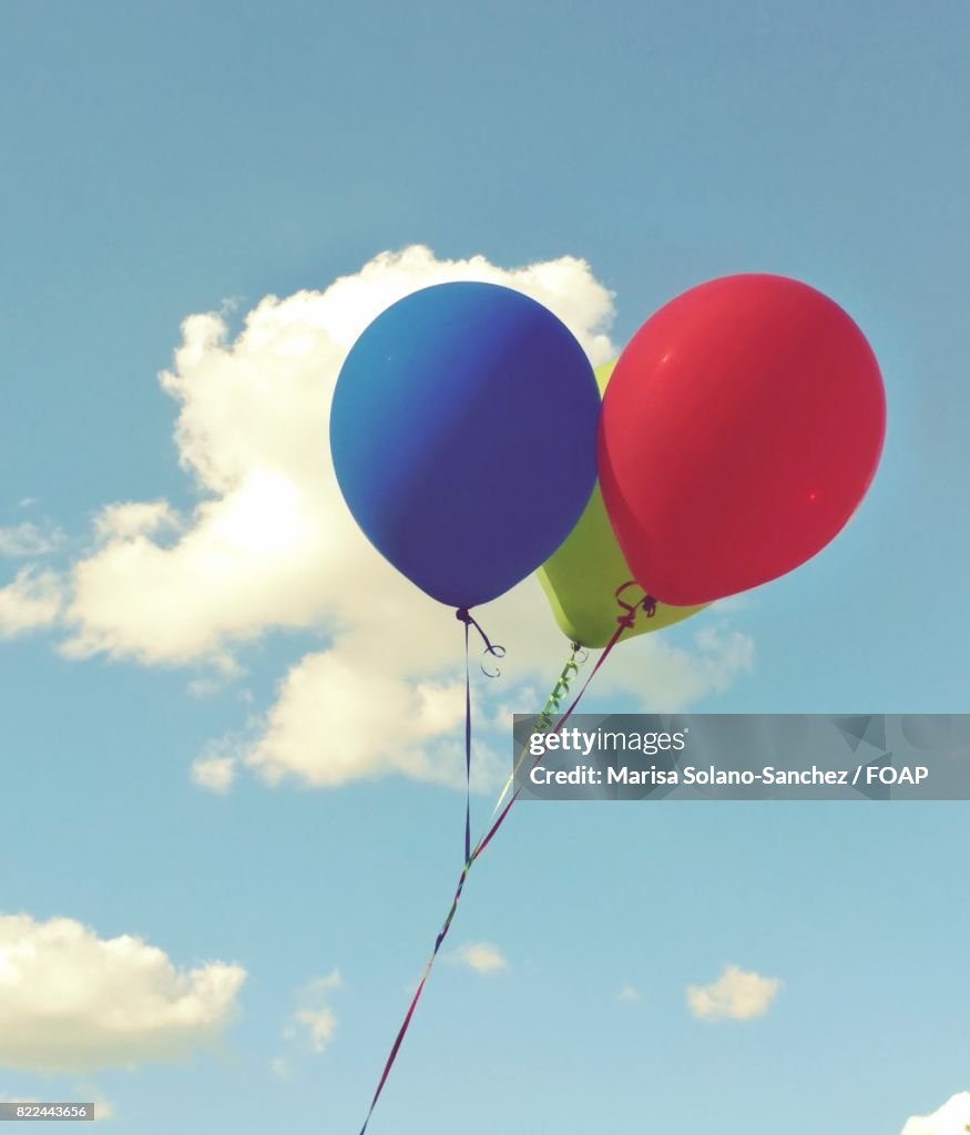 Close-up of balloons in sky