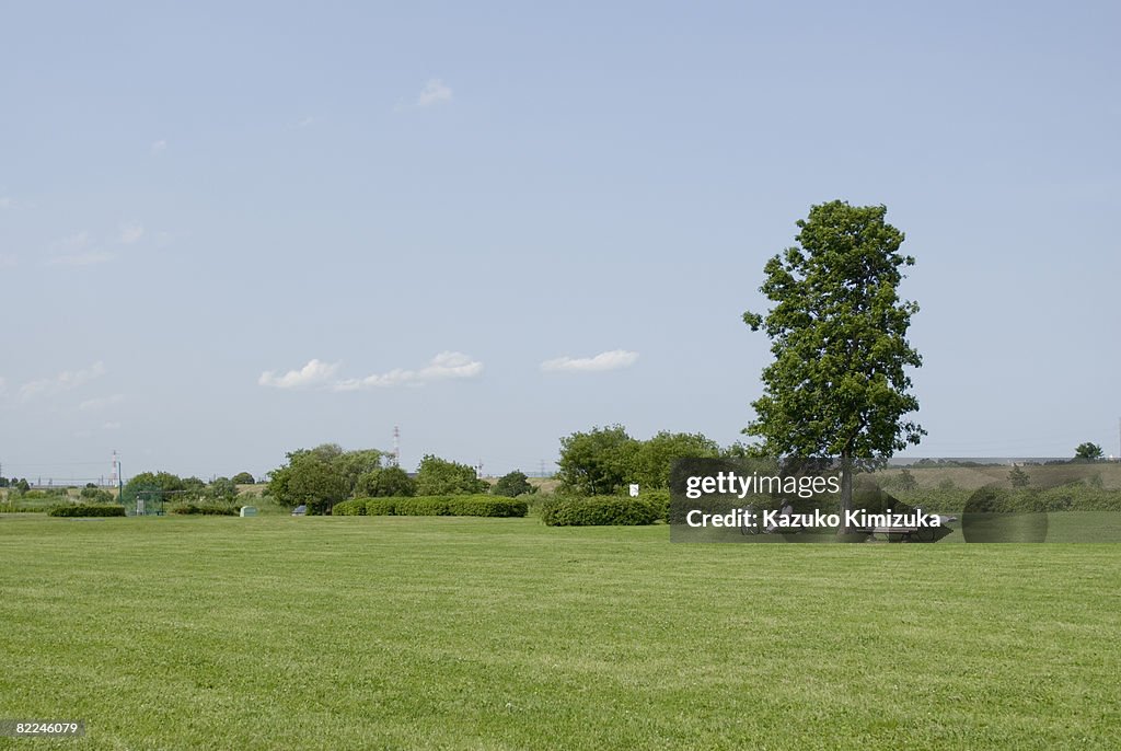 Green next to  Edogawa river