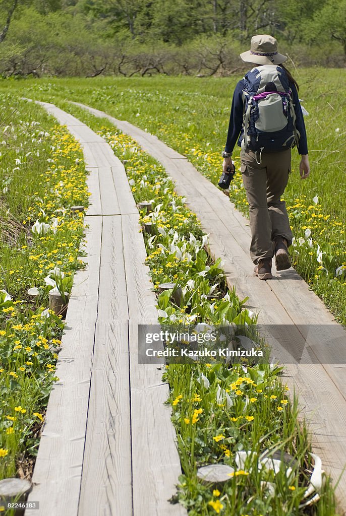 Japanese woman hiking in the park