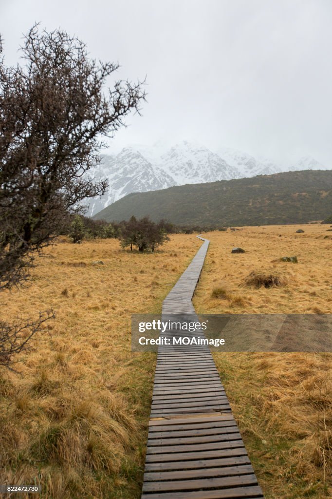 A footpath with Southern Alps in background,South Island, New Zealand