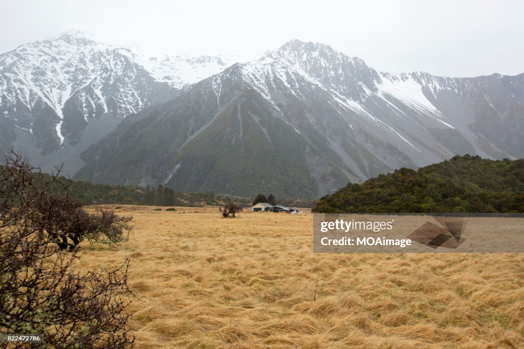 Southern Alps in background, South Island, New Zealand