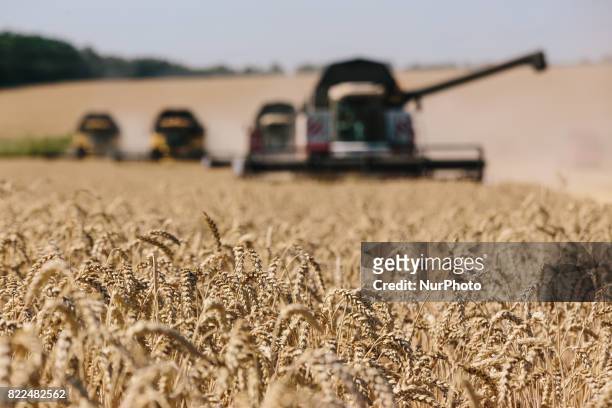 Harvesters in the field. Harvesting combines in the fields of Novovodolazhsky district of Kharkiv region, Ukraine on July 25, 2017.