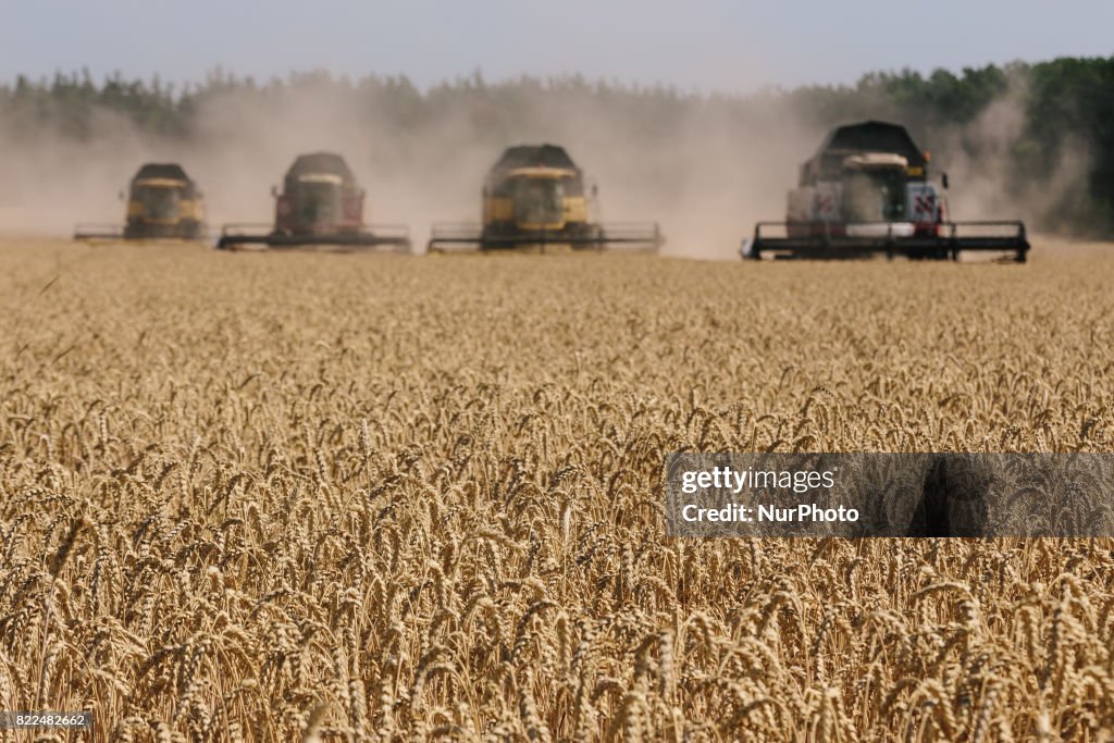 Harvesting in Kharkiv region