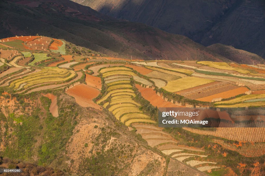 Red soil farmlands in Dongchuan district