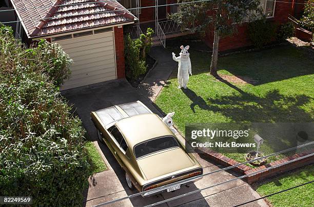 couple in rabbit costume waving goodbye - rabbit costume stock pictures, royalty-free photos & images