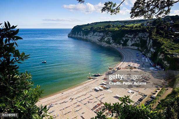 the devon coast, england - devon foto e immagini stock