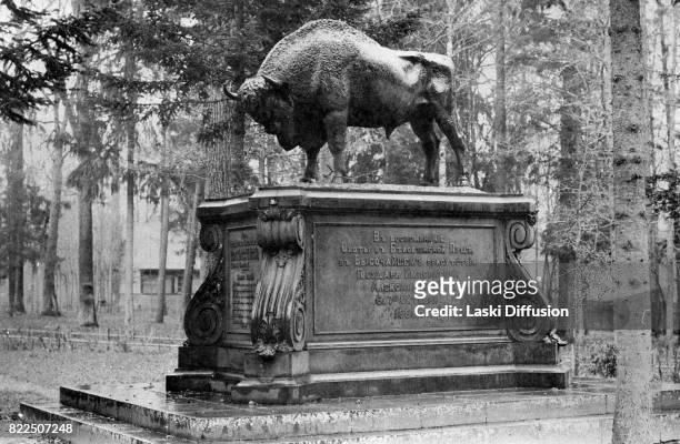 Monument commemorating a hunting expedition of Tsar Alexander II Romanov of Russia. Bialowieza Forest. Russian Empire, 1897.