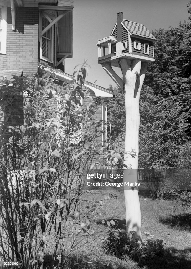 Bird house in garden