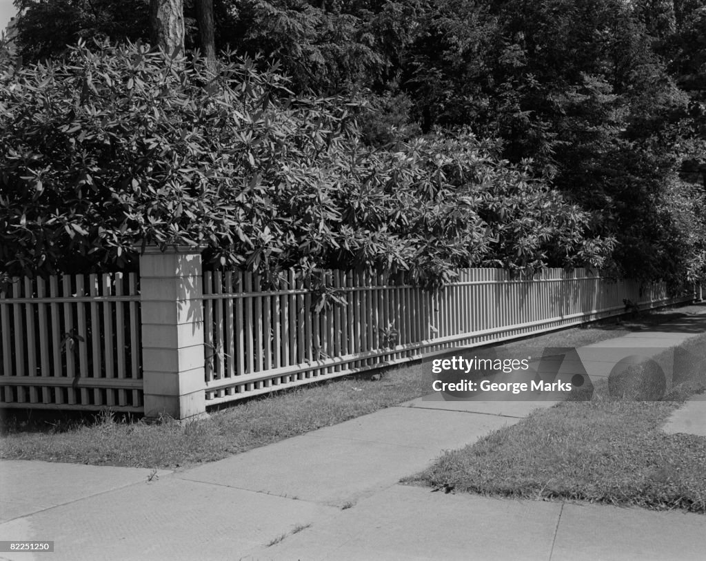 Sidewalk and shrubs behind fence