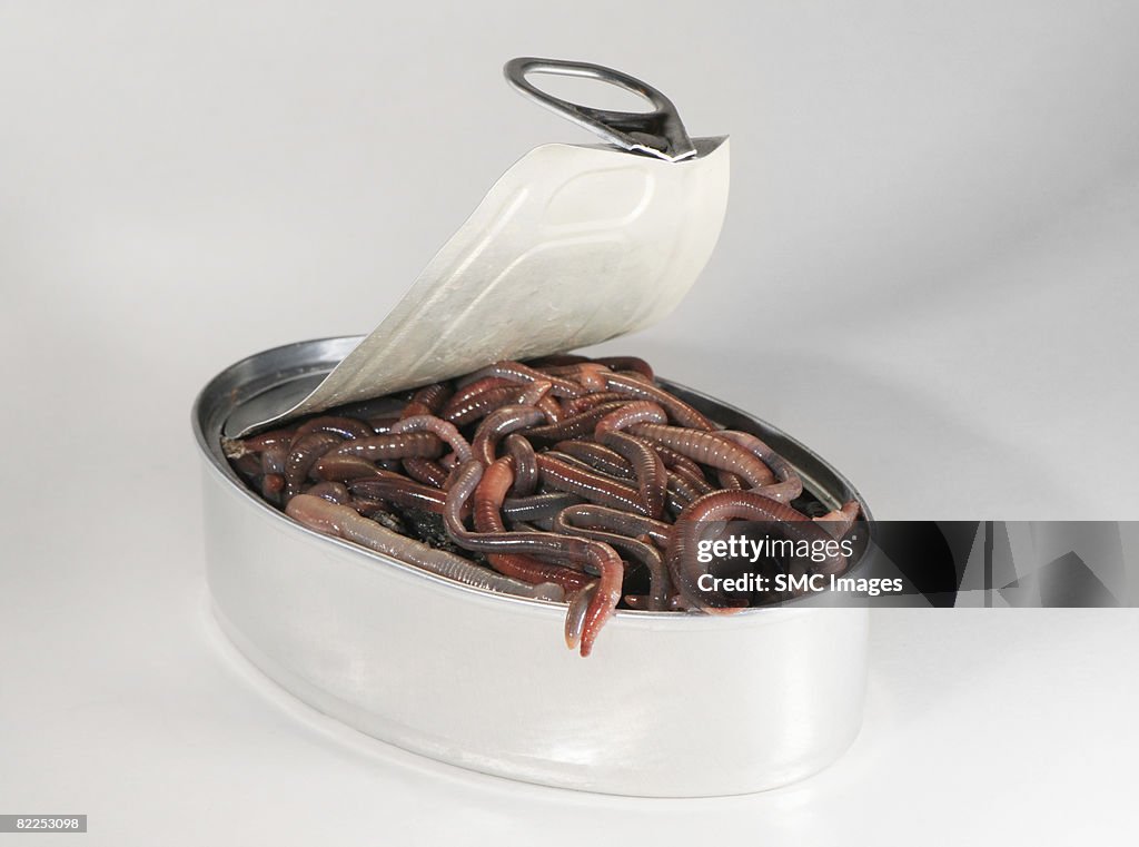 Can of worms