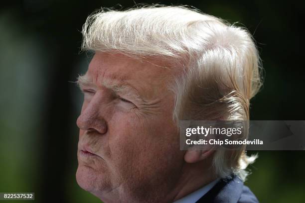 President Donald Trump holds a joint news conference with Lebanese Prime Minister Saad Hariri in the Rose Garden at the White House July 25, 2017 in...