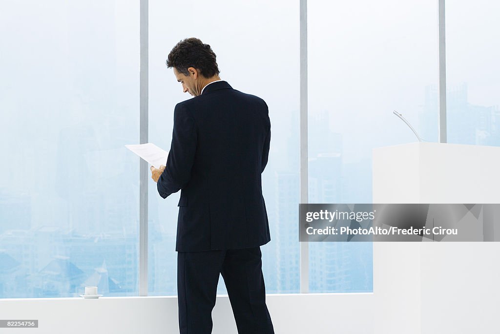 Businessman reviewing document, standing, rear view