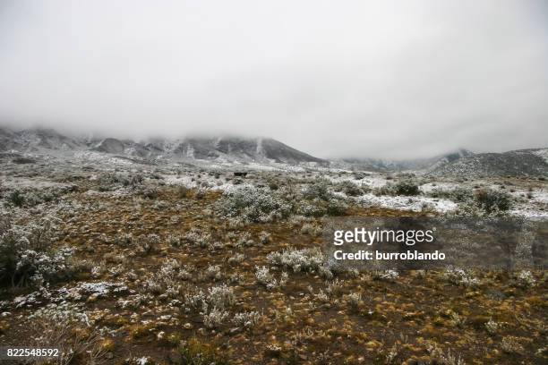 cold andean mountain range near mendoza in winter - argentina dirt road panorama stock pictures, royalty-free photos & images