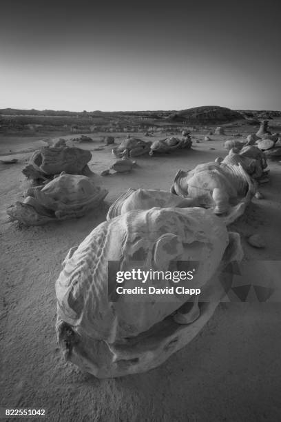 bisti badlands, new mexico, usa - farmington new mexico stock pictures, royalty-free photos & images