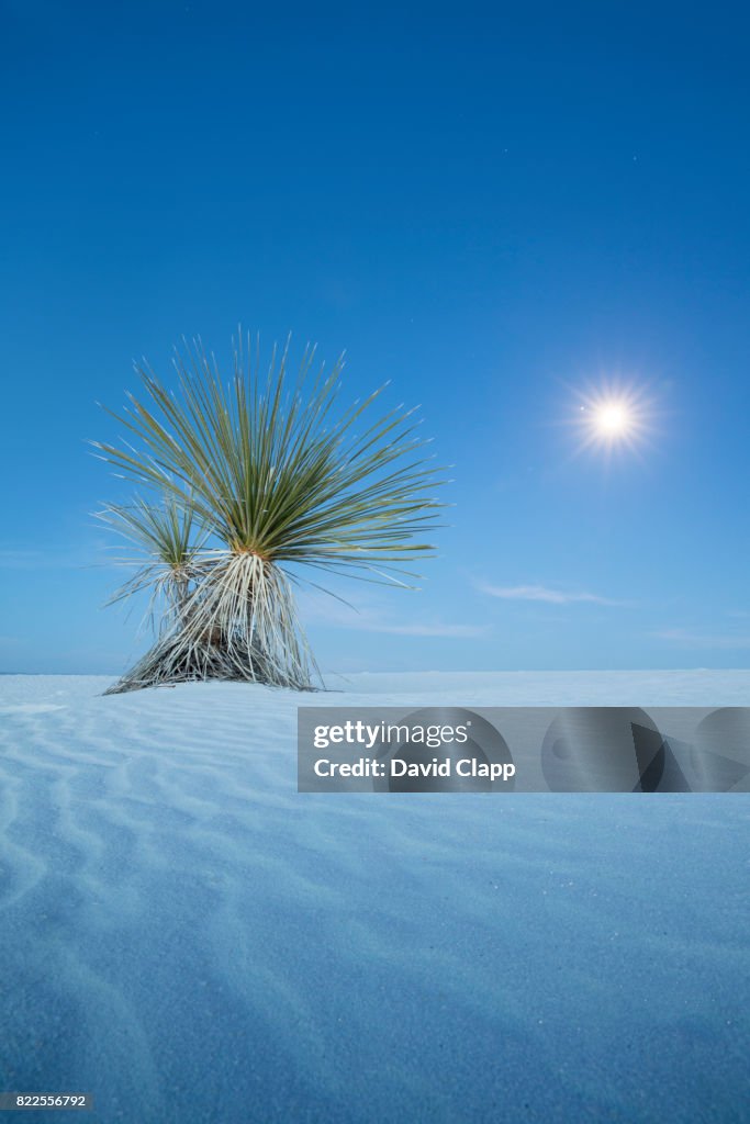 White Sands NM, New Mexico, USA