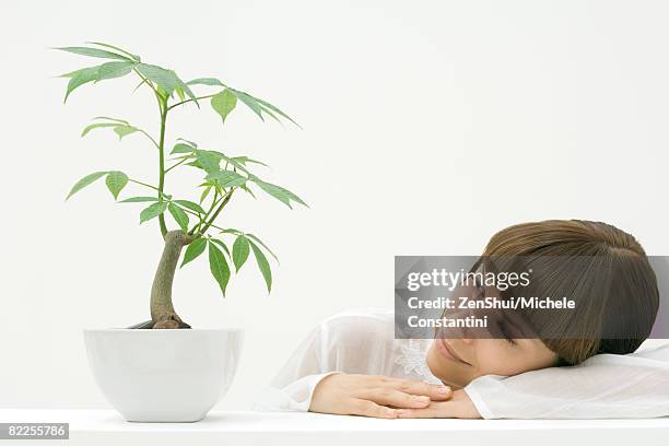 woman contemplating plant, resting head on arm - ceiba speciosa stock pictures, royalty-free photos & images