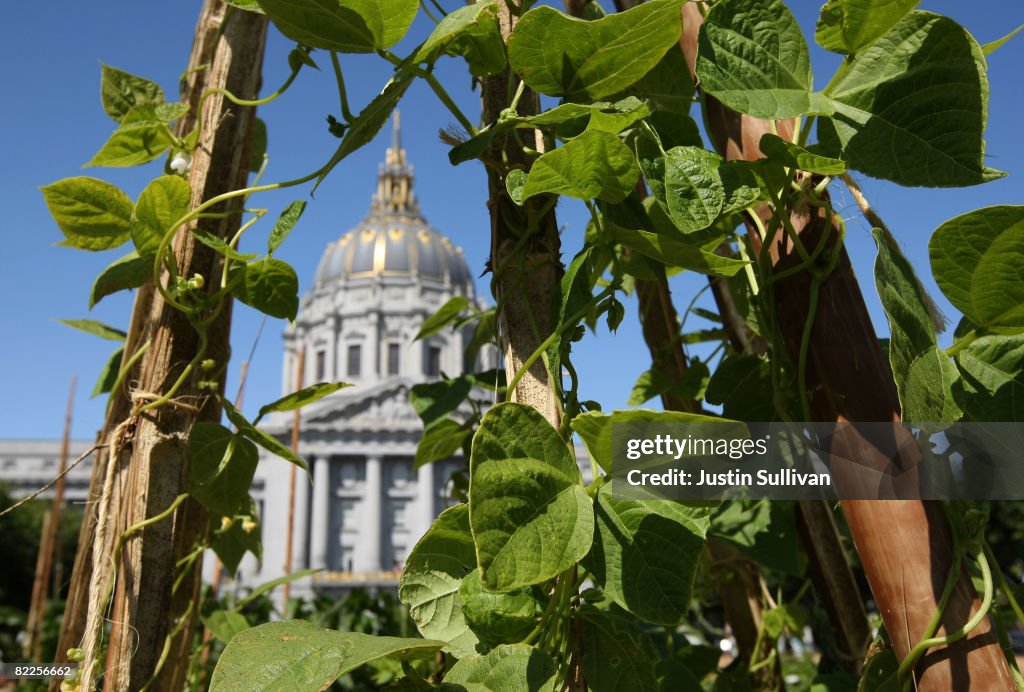 Organic Garden At San Francisco City Hall Promotes Slow Food Movement