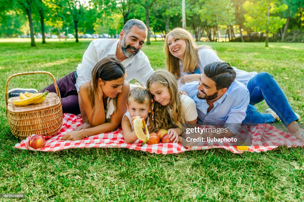 Foto von Multi-Generationen-Familie mit Picknick in der Natur