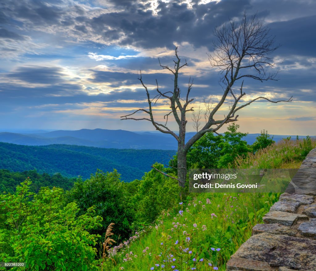 Indian Run Overlook