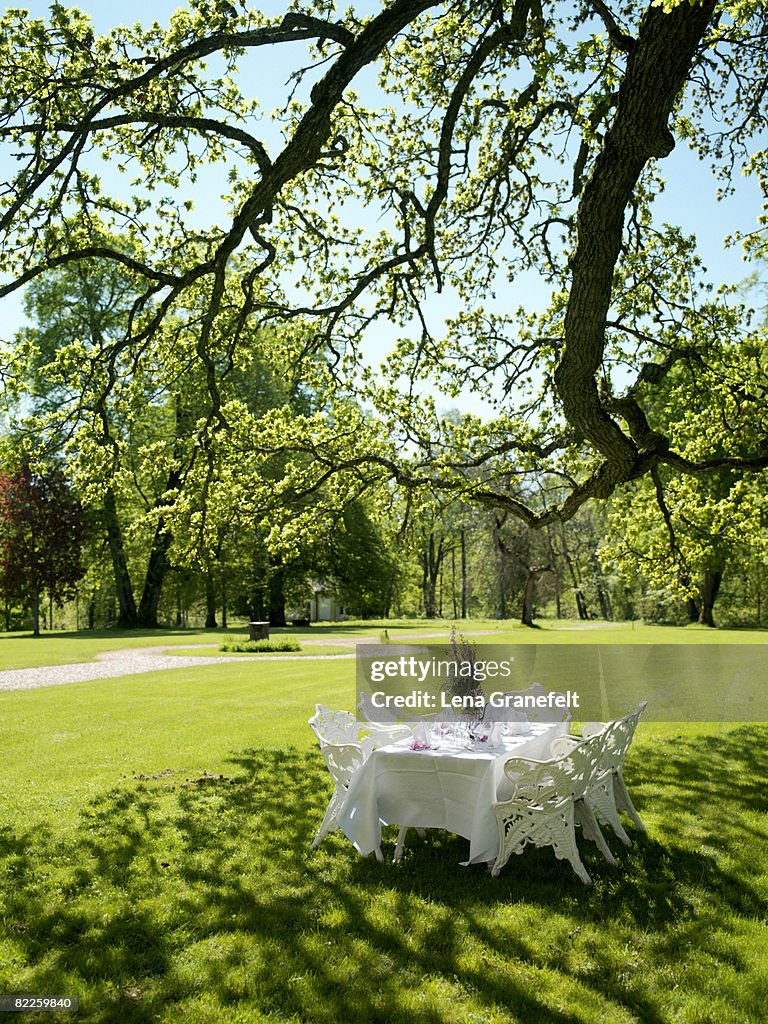 A set table under a tree Sweden.