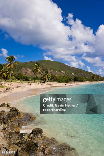 turtle beach, on the southeast peninsula, st. kitts, leeward islands, west indies, caribbean, central america - saint kitts and nevis stock pictures, royalty-free photos & images