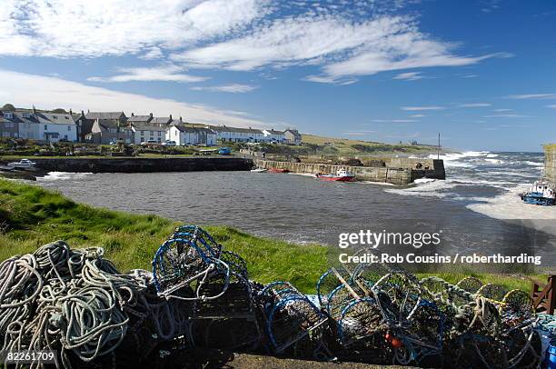 craster harbour, northumberland, england, united kingdom, europe - craster stock pictures, royalty-free photos & images