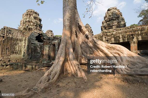 banteay kdei temple, angkor thom, angkor, unesco world heritage site, siem reap, cambodia, indochina, southeast asia, asia - banteay kdei fotografías e imágenes de stock